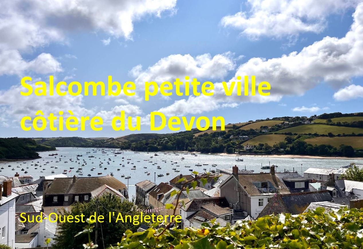 AR 25 vignette angleterre salcombe