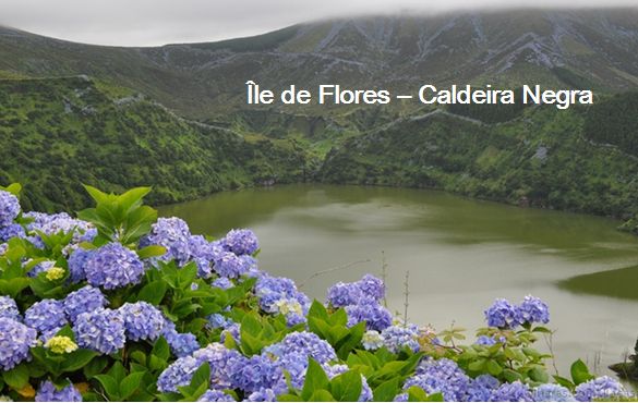 AR 17 prog acores horta 03