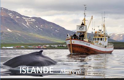 AR 20 nav islande akreyri 01