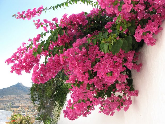 RE_09_Grece_14_Patmos.jpg RE_09_Grece_14_Patmos.jpg
