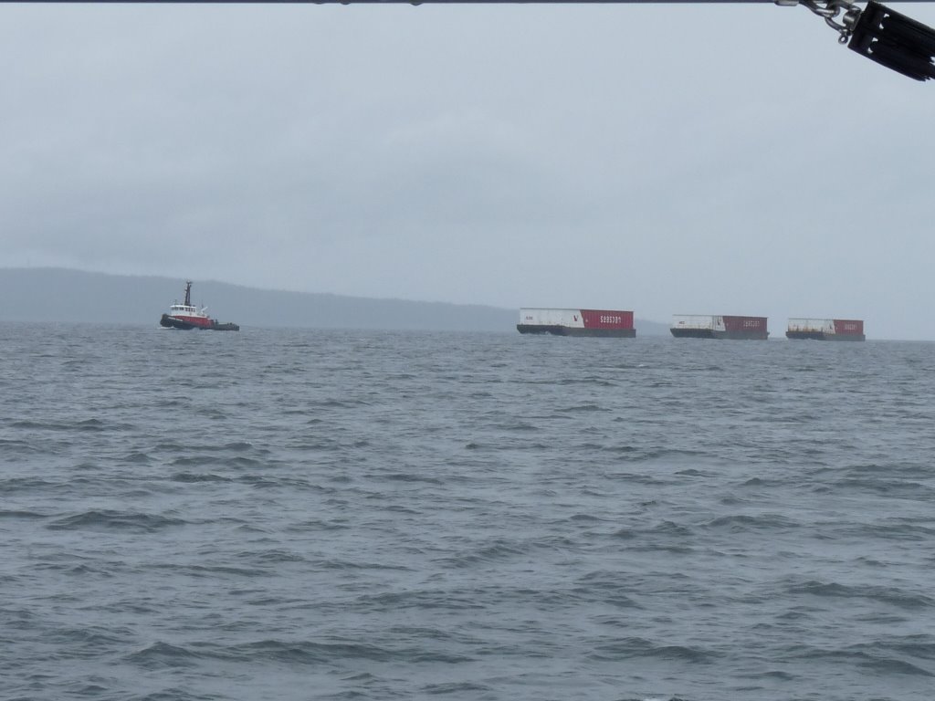 Johnstone Strait un train de barges, à ne pas couper sa route RE_09_colbrit_022_train_barges.jpg