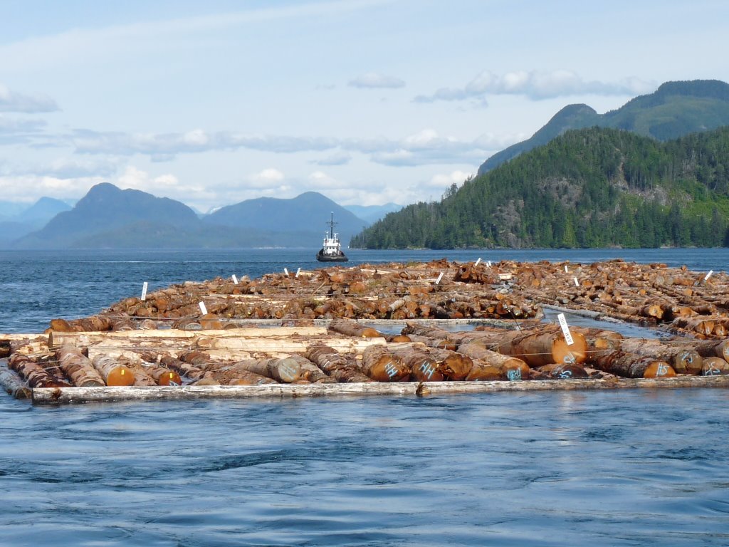 Desolation Sound, dans Johnstone Strait, un train de bois RE_09_colbrit_025_Train_bois.jpg