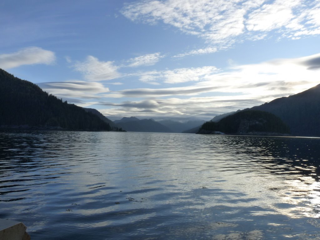 Dans le passage DANA inlet le long de Talunkwan island RE_09_colbrit_071_Thuston_harbour.jpg